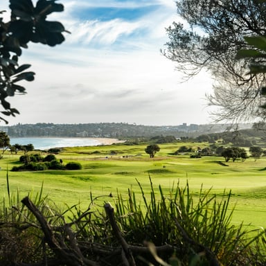 Lush golf course fairway beside the ocean on a clear day