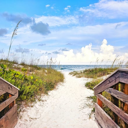 Wooden boardwalk path through sea oats to the beach